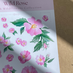 Wild Rose Sticker Sheet — Wildflower Collection