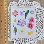 Wildflower Sticker Sheet Bundle — A5 & Mini Set